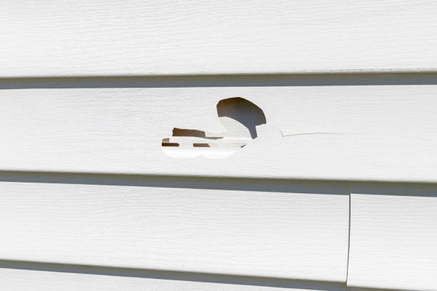 Trusted Pulaski, NY Junk Removal Experts
